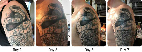tattoo scabbing process