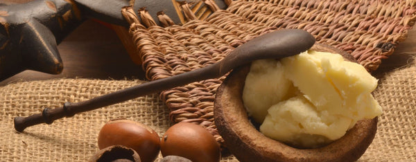 Shea Butter and Why It Helps Our Skin from Aging
